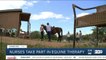 Healing with Horses: Nurses take part in equine therapy