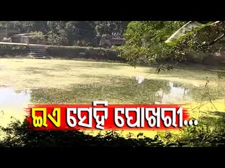 Pari Murder Case | SIT To Dry Up Jadupur Village Pond To Collect Evidence