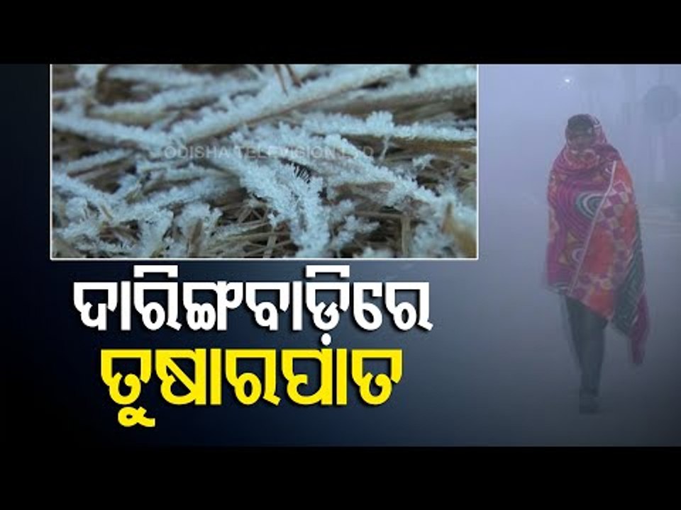 Snow Fall In Daringbadi | Odisha's Kashmir Gets Fresh Snow Fall