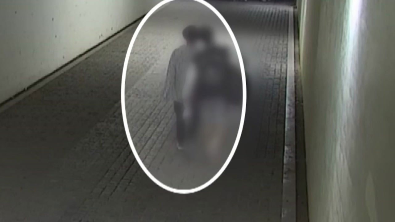 [뉴스큐] '故 손정민 씨' 사망 사건...국과수 "사인은 익사로 추정" / YTN