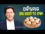 Special Story | Egg Rates Skyrocket In Pakistan-OTV Report