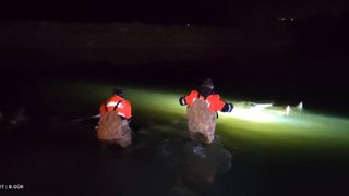 Son dakika haber! Van Gölü'nde 7.5 ton inci kefali ele geçirildi
