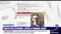 Fugitif dans les cévennes: 