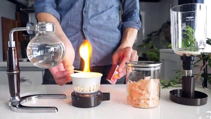 Homemade cat sushi vs. cat food