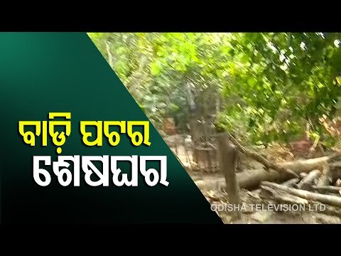 Pari Murder Case | Saroj Sethi's Villagers Bring Serious Allegations Against Arun Bothra