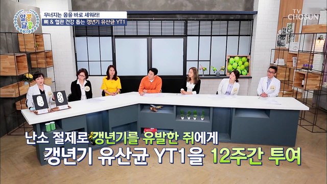 혈관&뼈 건강에 좋은 ˹갱년기 유산균 YT1˼ TV CHOSUN 20210513 방송