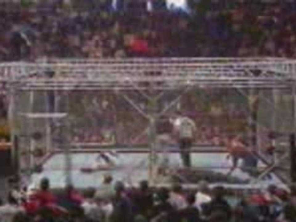 Shane McMahon Dives From Top of Cage