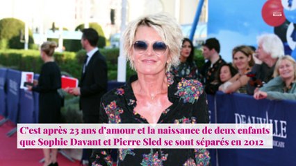 Sophie Davant : Ses confidences sur son divorce avec Pierre Sled