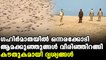 one crore turtles hatch in Odisha Gahirmatha beach | Oneindia Malayalam