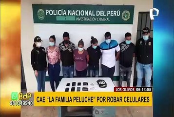 Cae “La familia Peluche” que se dedicaba al robo de celulares