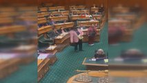 Maorili vekil haka dansı yaptı, parlamento toplantısından atıldı