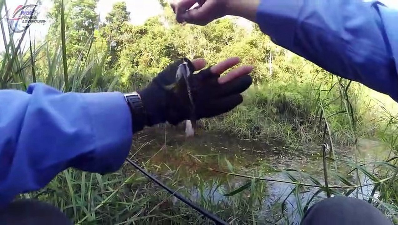 Spot Mancing Ajaib Yg Spektakuler Penuh Ikan #121