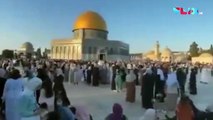 Suasana Perayaan Idul Fitri di Komplek Masjid Al-Aqsa