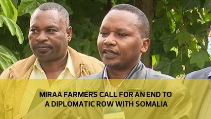 Miraa farmers call for an end to a diplomatic row with Somalia