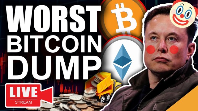 Elon Musk lâche BITCOIN & Cryptos ! Est-ce la fin des Cryptomonnaies ?