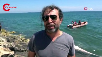 Dünyanın en büyük ikinci balinası, Mersin'de karaya vurdu