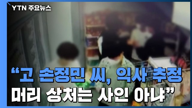 故 손정민 씨, 익사 추정...머리 상처는 사인 아냐 / YTN