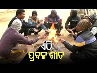 Dense Fog Conditions In Boudh, Odisha