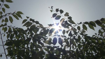 [날씨] 서울은 벌써 30℃ 한여름...동풍이 불러 온 더위 / YTN