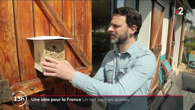 Environnement : près de Lyon, une entreprise protège les abeilles sauvages