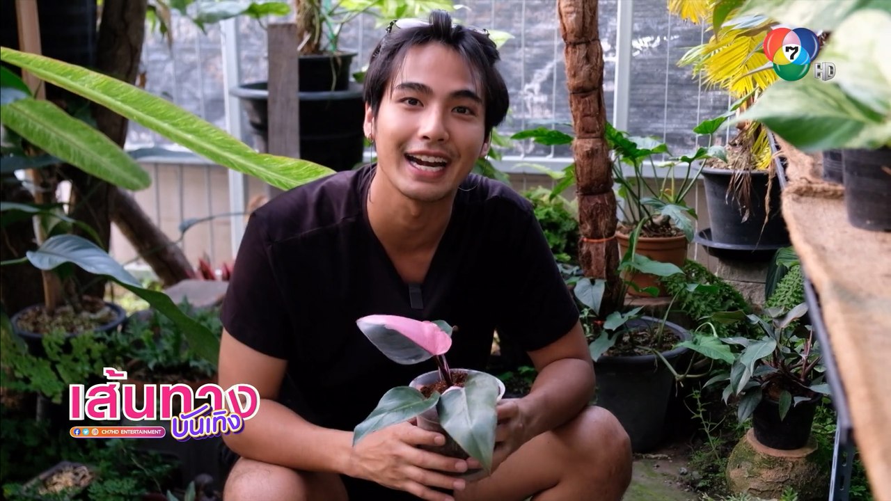 บิว ณัฐพล ชวนปลูกต้นไม้ฟอกอากาศ กิจกรรมผ่อนคลาย...
