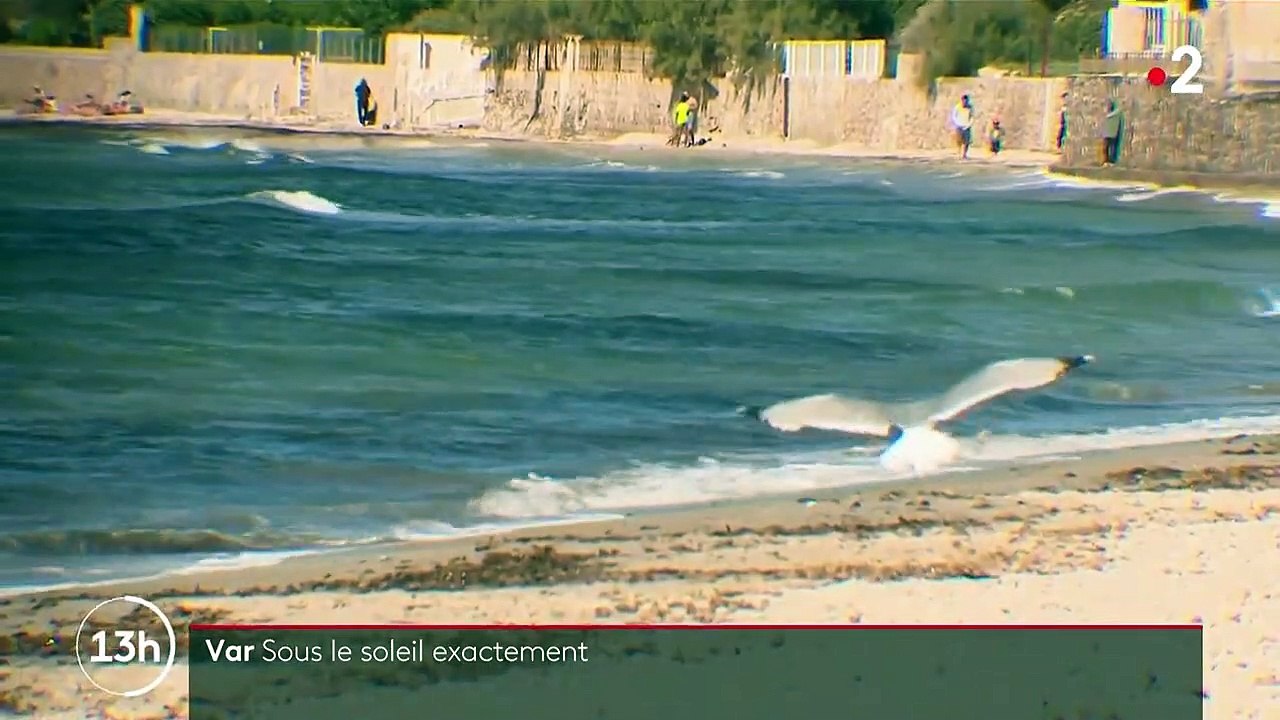 Tourisme : des vacanciers profitent des plages du Var, sous le soleil