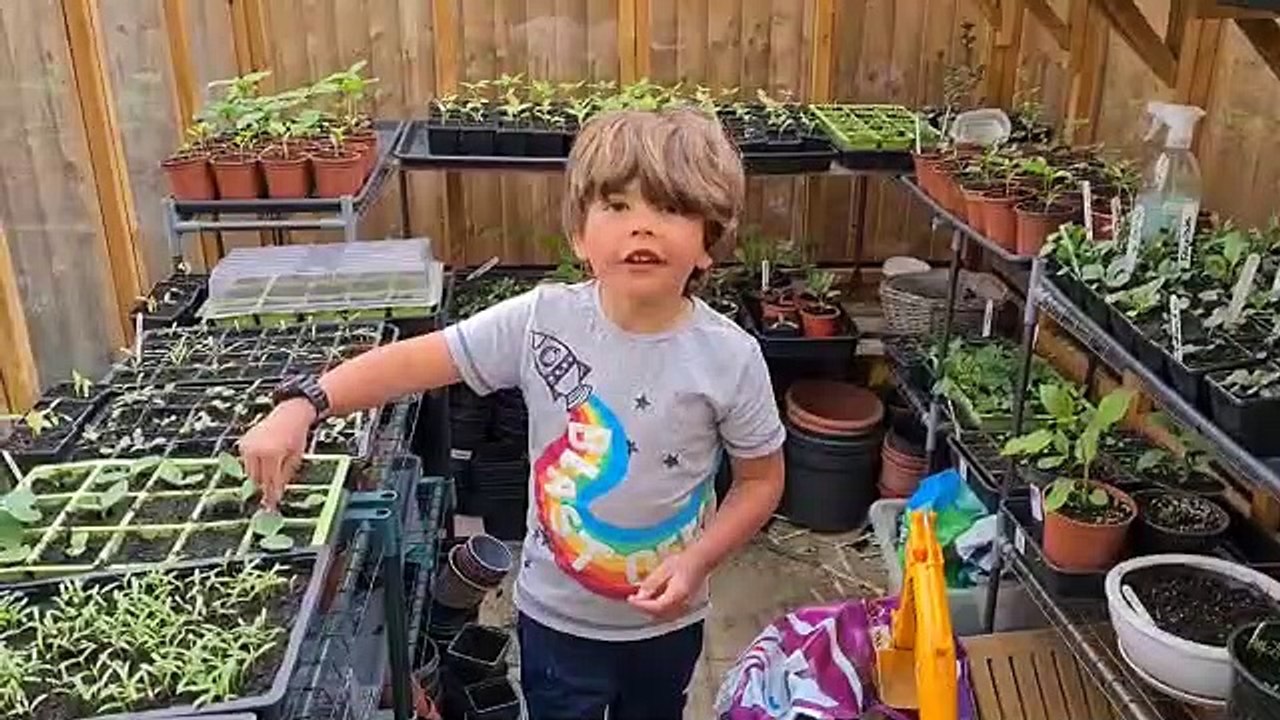 Hemel Hempstead brothers grow plants and vegetables to raise money for ZSL Whipsnade Zoo