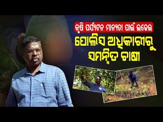 Special Story | Ex-Policeman From Koraput Turns Hilly Terrain Into Orchard