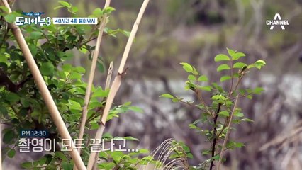 최후의 용사 박프로 | 도시어부3 2화 (#2/14)