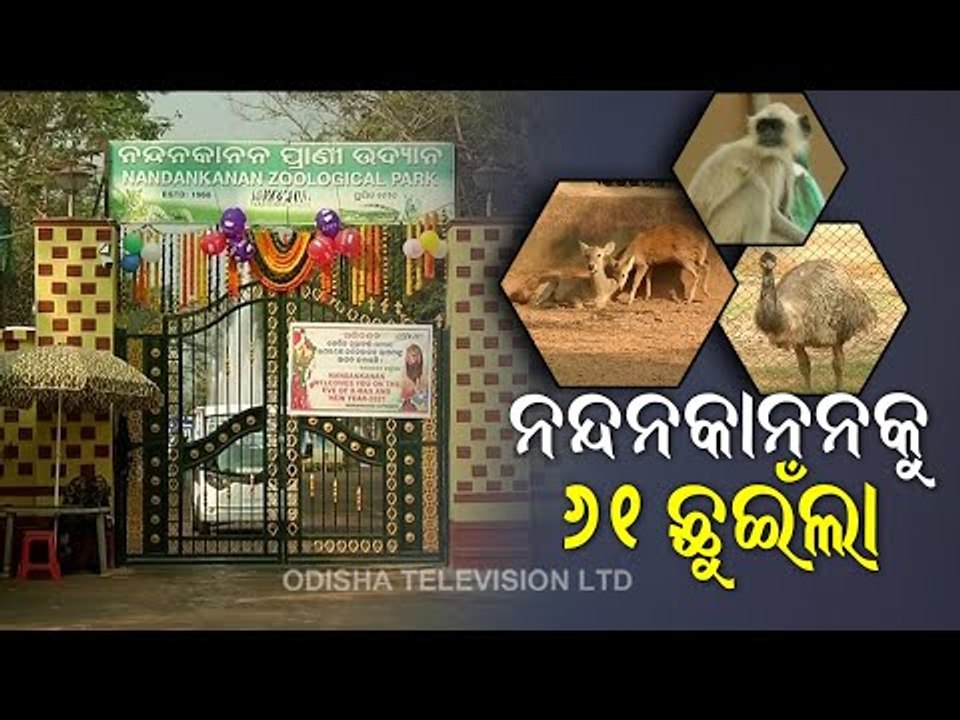 Nandankanan Celebrates 61st Foundation Day, Discussion With Director Shashi Paul