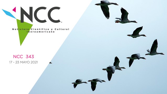 Noticiero Científico y Cultural Iberoamericano, emisión 343. 17 al 23 de mayo del 2021