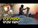 Cotton Farmer In Sonepur Slams Odisha Govt Over Mandi Issues