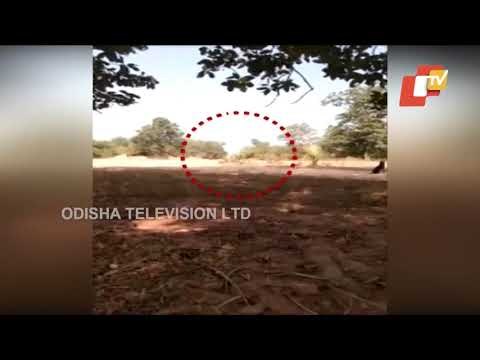 Jawan Injured, Close Shave For 30 Others In Landmine Blasts Planted By Maoists In Malkangiri Border