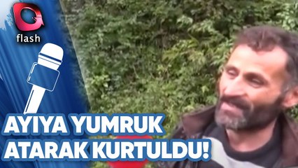 Ayıya Yumruk Atarak Kurtuldu!