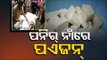 Synthetic Paneer In Cuttack-OTV Report On Rampant Food Adulteration