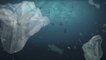 La contaminación plástica sigue causando estragos en los ecosistemas marinos