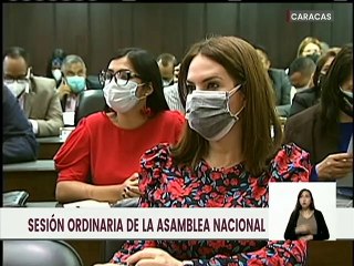 AN autoriza designación de Haifa Aissami Madah como Embajadora de Venezuela ante la FAO
