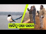 Odisha | Annual Bird Census Begins In Mayurbhanj, Brahmagiri