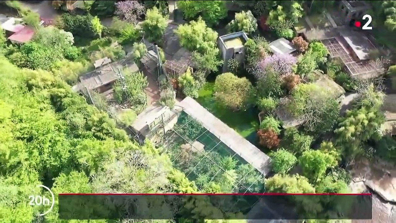 Déconfinement : les zoos se préparent à la réouverture du 19 mai