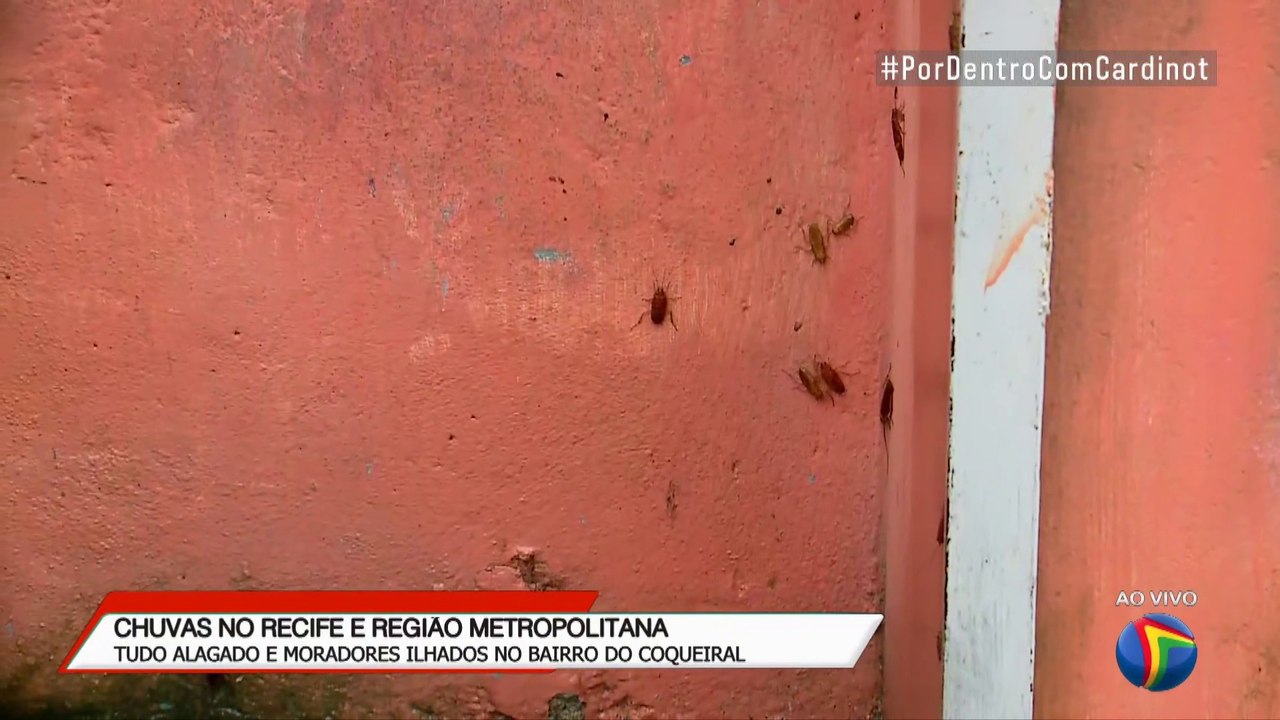 É o gabiru ???