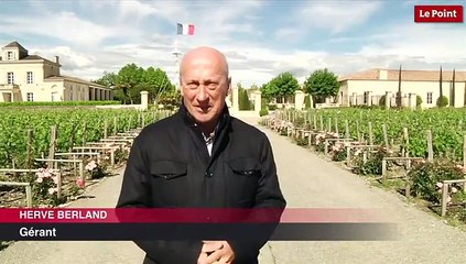 Découvrez le nouveau château Montrose