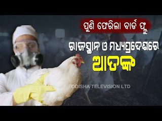 Special Story | Bird Flu Returns To Rajasthan & MP Amid COVID Pandemic