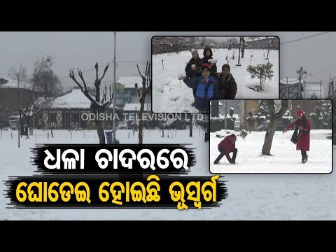 Jammu & Kashmir | Tourists Enjoy Snowfall In Srinagar