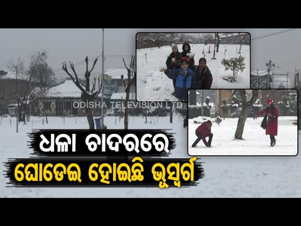 Jammu & Kashmir | Tourists Enjoy Snowfall In Srinagar