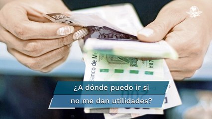 ¿Qué hacer si no me depositan mis utilidades?