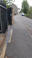 Momma Duck Meanders Across Road
