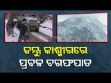 Kashmir Receives Heavy Snowfall, Roads Blocked