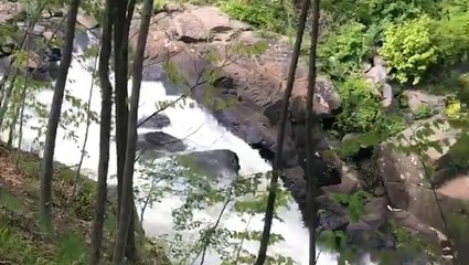 A pristine forest waterfall