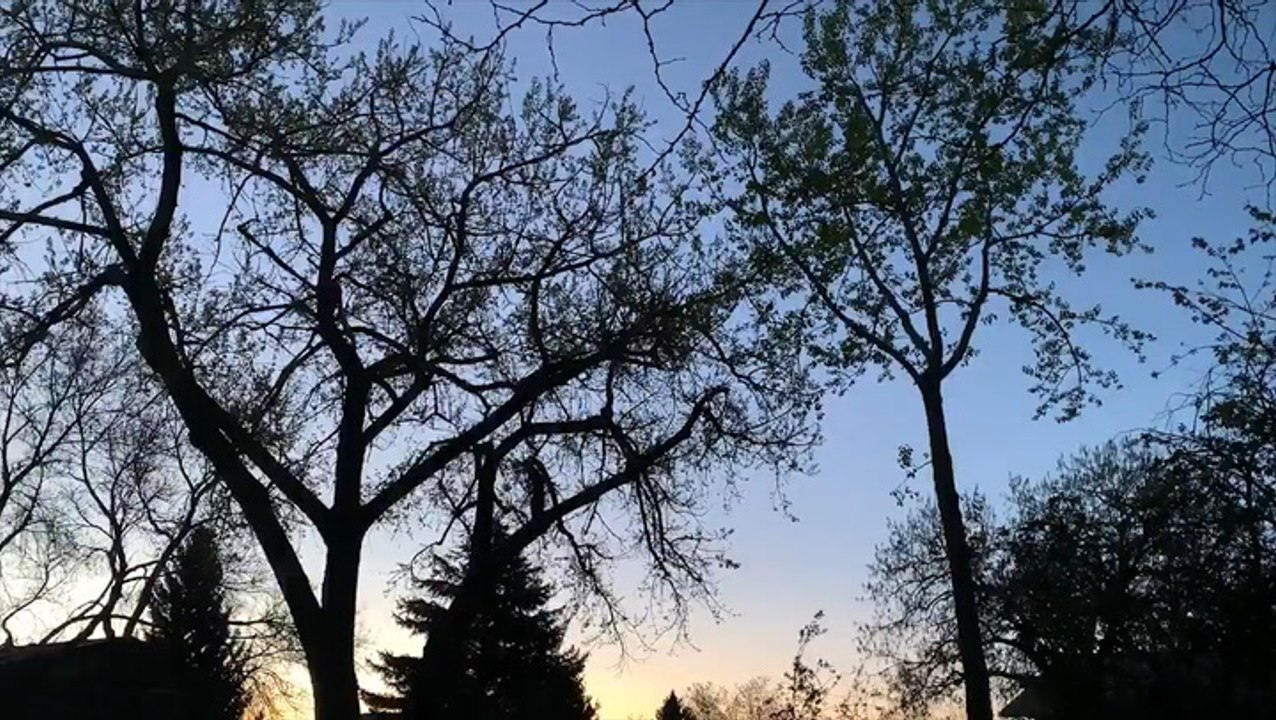A beautiful start to the day