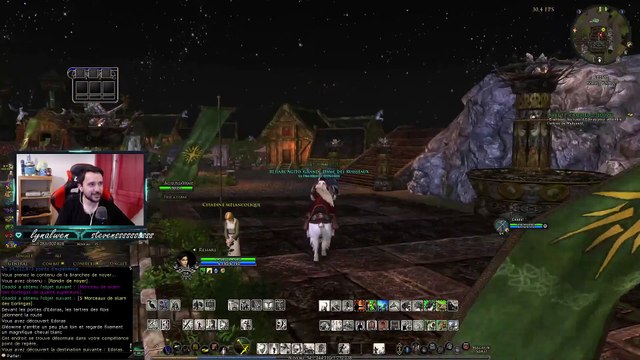 L'arrivée à Edoras ( Lord of the Ring Online )